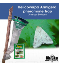 Chipku Pheromone Funnel Trap with Helicoverpa Lure (Combo Pack of 10)